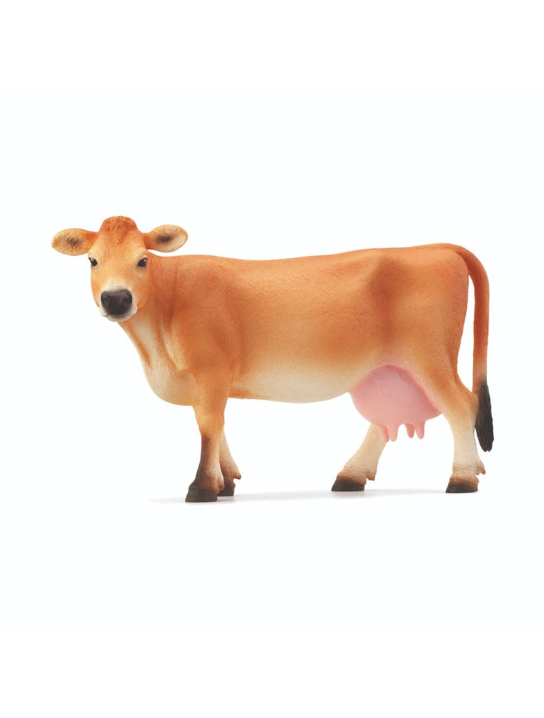 SC13967 JERSEY COW