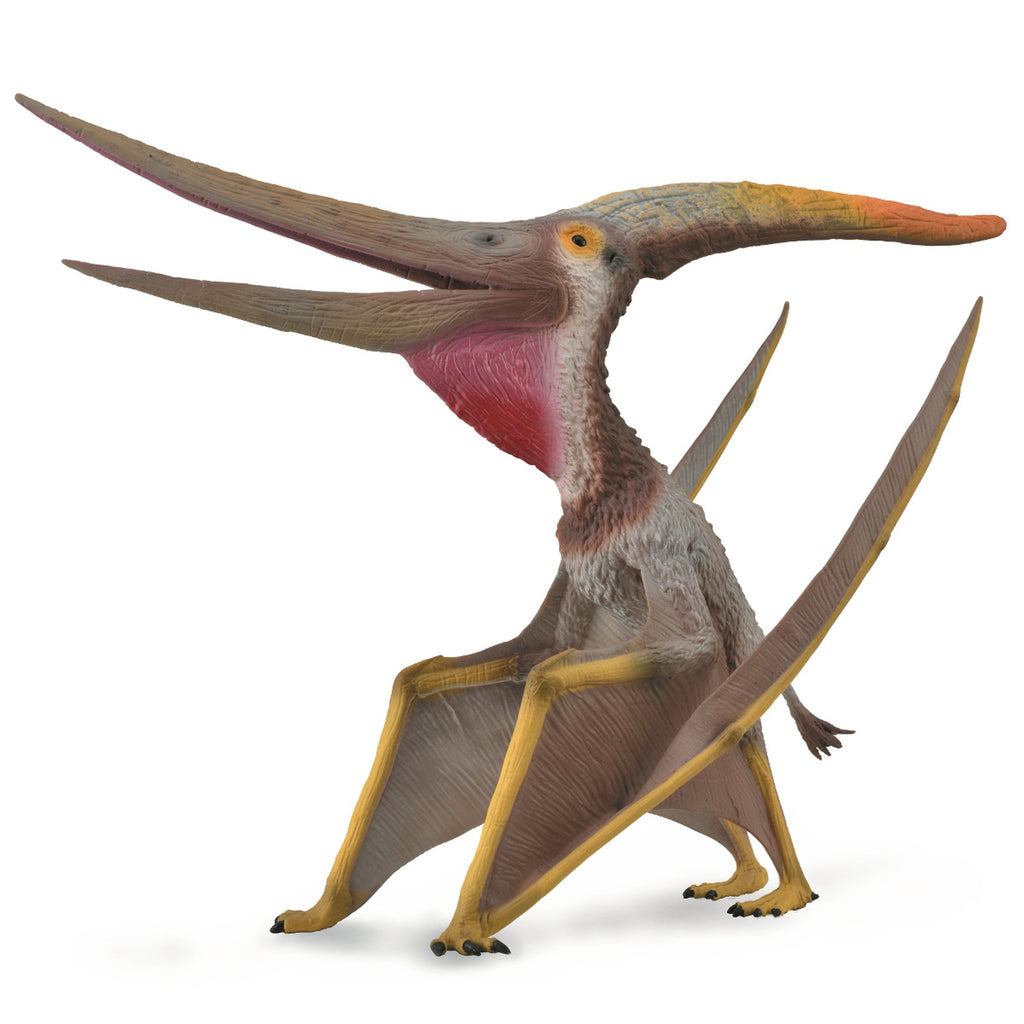 COLLECTA PTERANODON (MOVABLE JAW) (DLX)